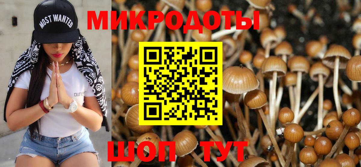 Псилоцибиновые грибы Magic Shrooms Калач-на-Дону