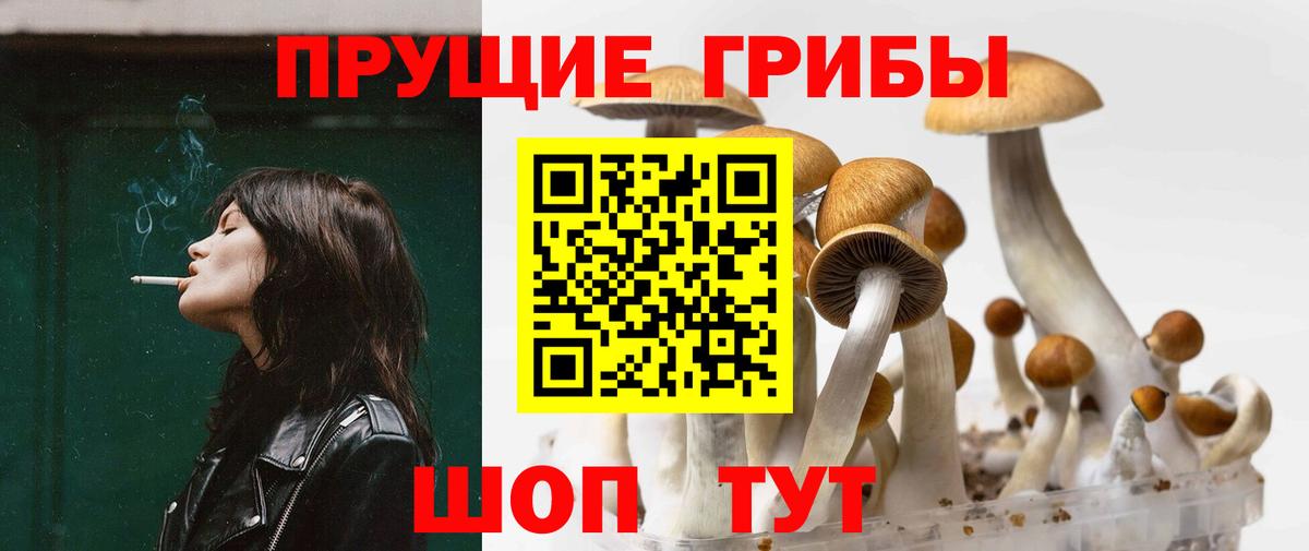 Галлюциногенные грибы прущие грибы  Вход с VPN  Калач-на-Дону 
