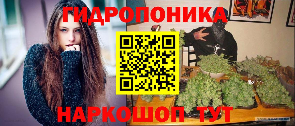 Шишки марихуана семена Калач-на-Дону